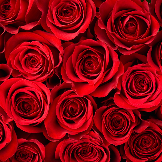 Red Roses: A Touch Romance